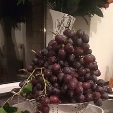 Очень ранние сорта винограда